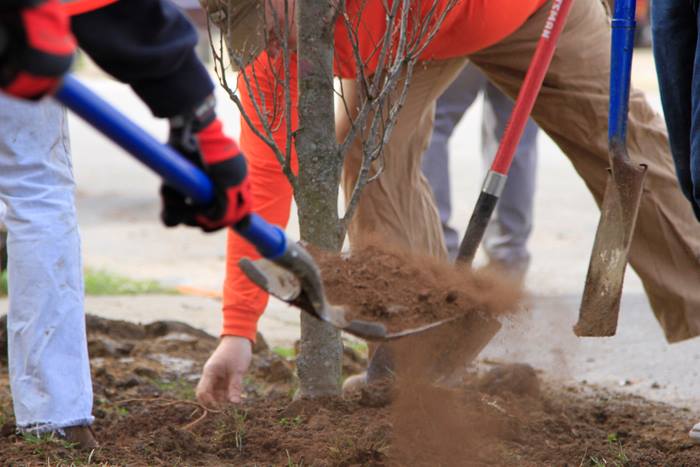 ToolBank was part of the team planting trees in Covington in April 2014