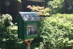 Little Free Library Clifton small
