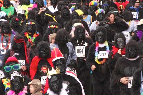 Prizes will be awarded for best costumes at Cincinnati Gorilla Run