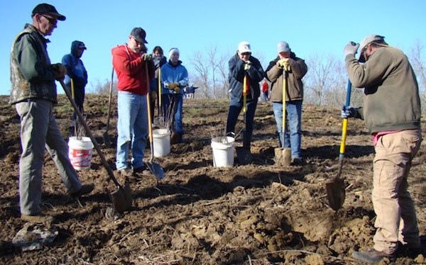 Volunteers dig in to replant trees at last year's Reforest NKY event.