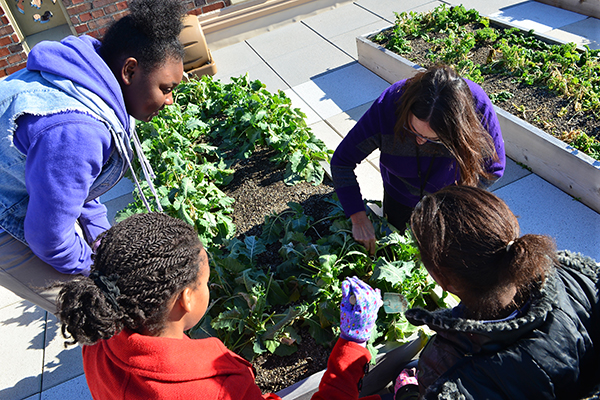 Bryna Bass works with Rothenberg students in the rooftop garden