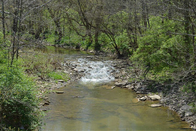 A sunny spring day at Banklick Creek, at Independence Station Road in Independence.