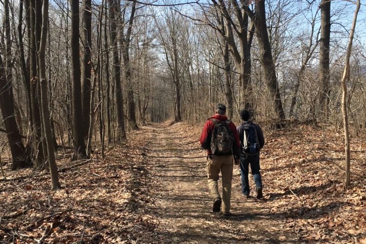 Creating new trails to make the property more accessible to hikers, birdwatchers, and kayakers will be a top Boone Conservancy priority.