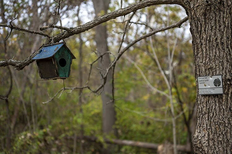 Bull’s Run Sanctuary and Arboretum offers a vibrant display of trees, ample birdwatching, and walking trails.