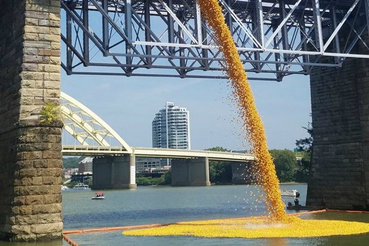 Cincinnati hosted the largest Rubber Duck Regatta in the nation