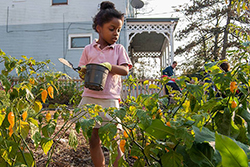 Frederick Douglass Elementary garden club