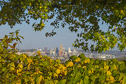 Cincinnati parks