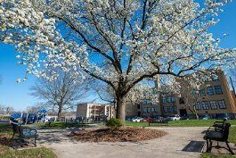 Randolph Park, on Covington's Eastside is named after Dr. James Randolph, a pioneering physician who was the first African American to professionally provide medical aid to African Americans in Northern Kentucky.