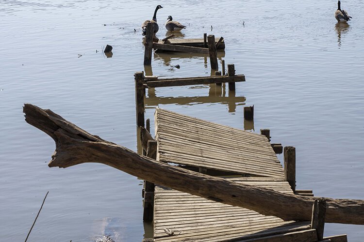 Dilapidated docks on the river will be removed.